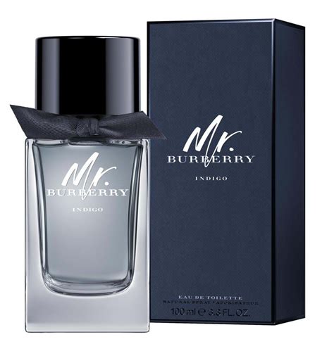 mr burberry parfum pub|burberry perfume for men's price.